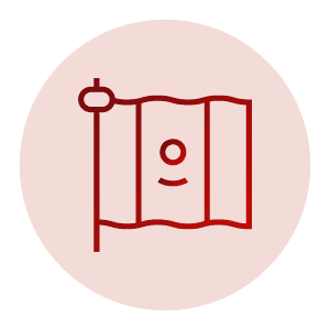 Hispanic flag icon